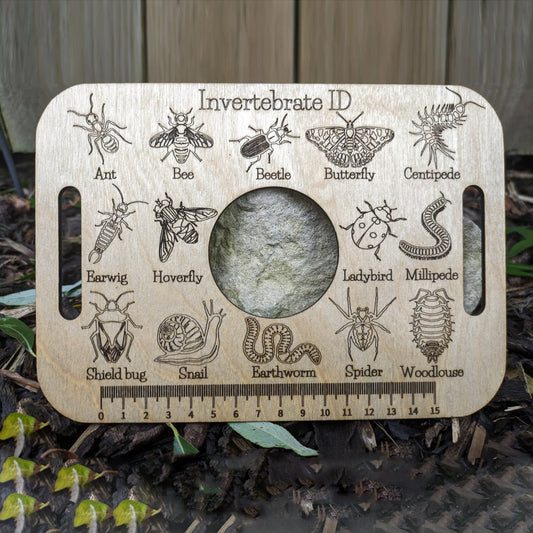Encyclopedia Bug Identification Crafts Ruler